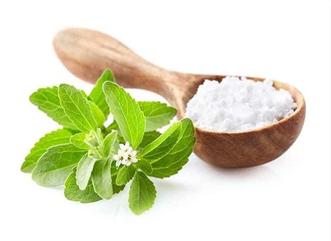 تصویر 1 از قیمت استویا شیرین کننده طبیعی + خرید باور نکردنی